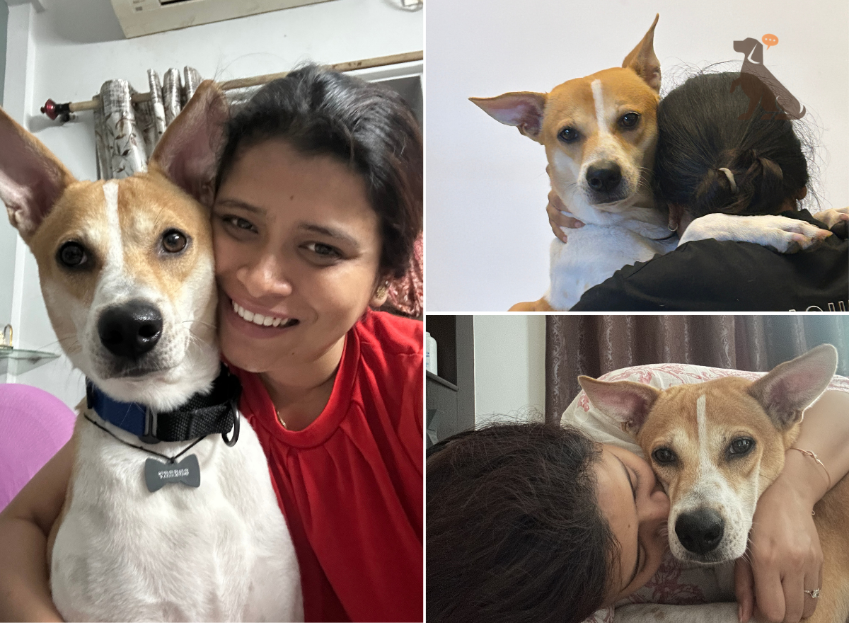 Why Dog Parents Need Journals