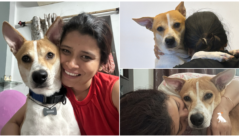 Why Dog Parents Need Journals